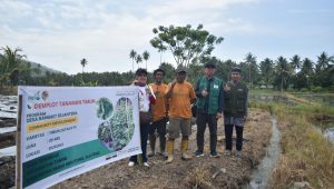Program Manager Bidang Community and Development Care (Comdev) LAZ Hadji Kalla, Erny Rachmi Nurdin, melakukan kunjungan ke beberapa titik demplot petani di desa binaan yang berlokasi di Kabupaten Parigi Moutong, Sulawesi Tengah, beberapa waktu lalu.