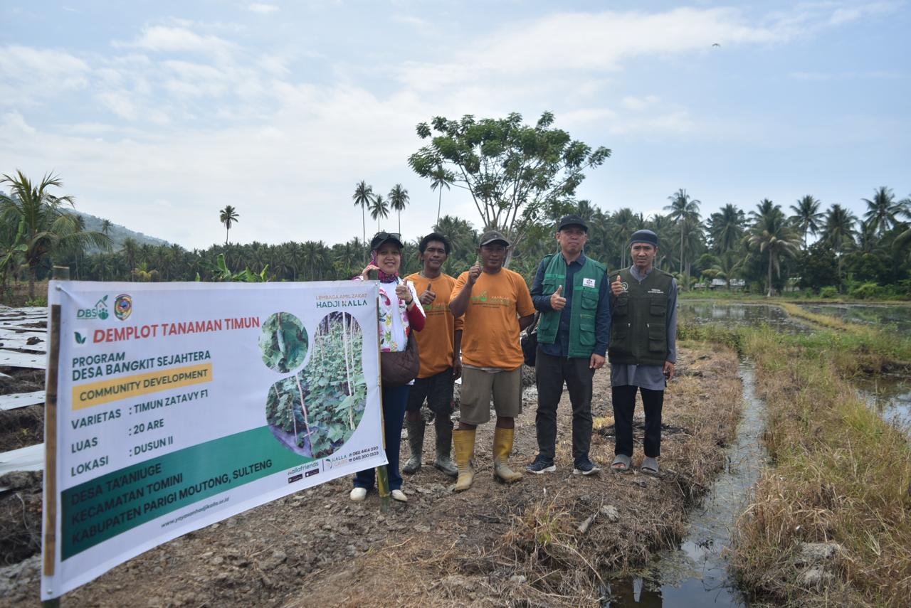 Program Manager Bidang Community and Development Care (Comdev) LAZ Hadji Kalla, Erny Rachmi Nurdin, melakukan kunjungan ke beberapa titik demplot petani di desa binaan yang berlokasi di Kabupaten Parigi Moutong, Sulawesi Tengah, beberapa waktu lalu.